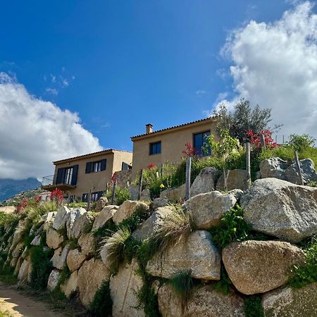 Bella Vita Calenzana Exterior foto
